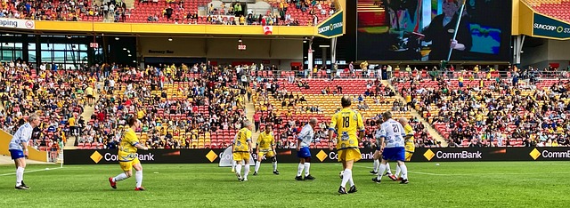 瑟洛特抓住 瑟洛特抓住