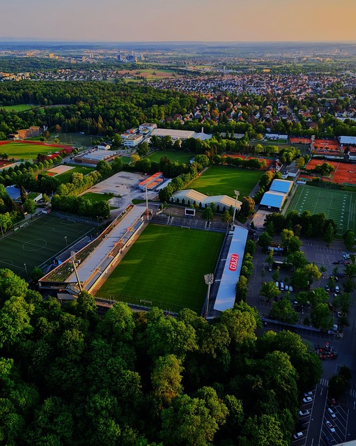 这粒进球再 这粒进球再