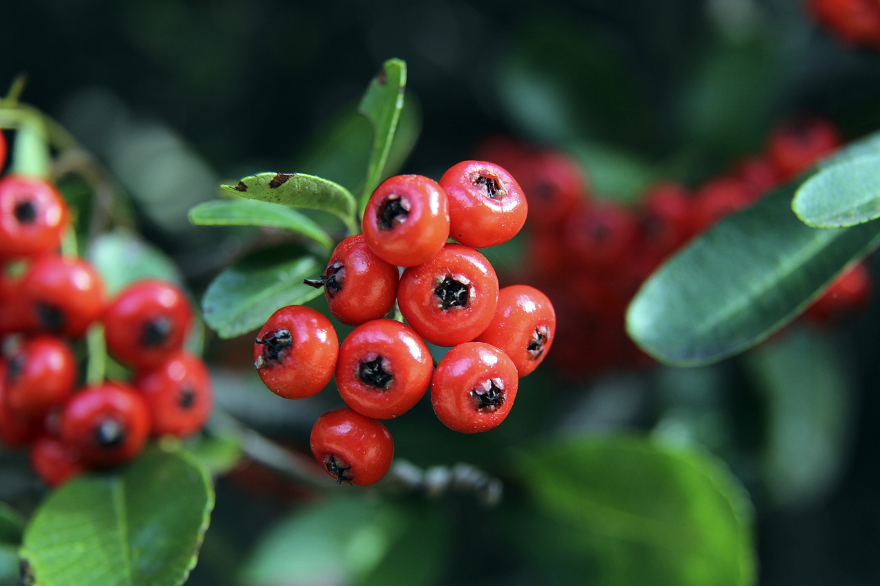 練團隊不斷 練團隊不斷