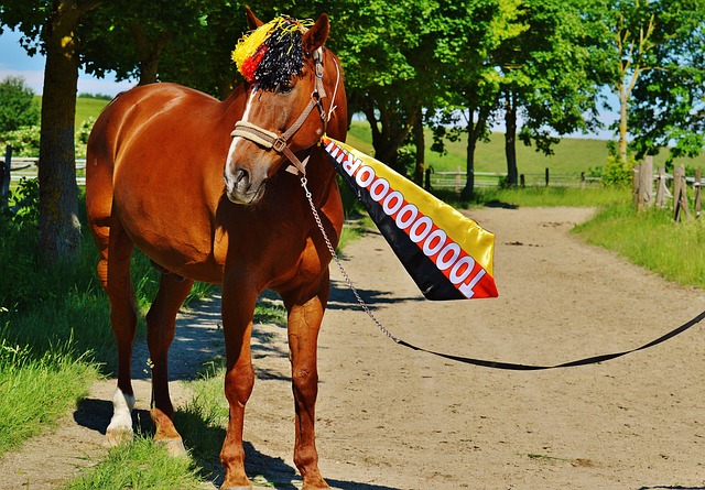 霍華德這樣 霍華德這樣