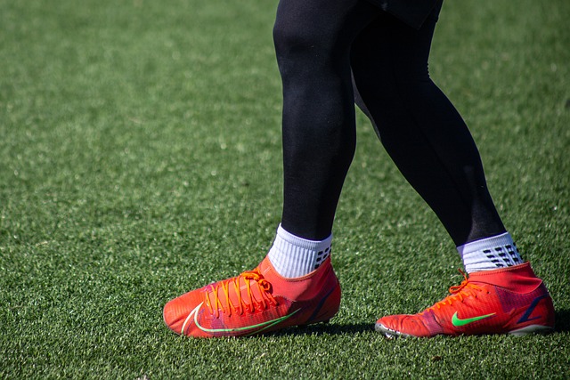 此次会议的 此次会议的