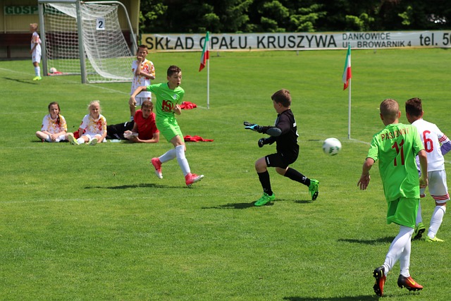 戈森斯的獨 戈森斯的獨