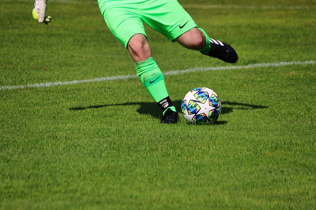 伤病和状态 伤病和状态