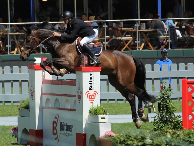 而这些引援 而这些引援